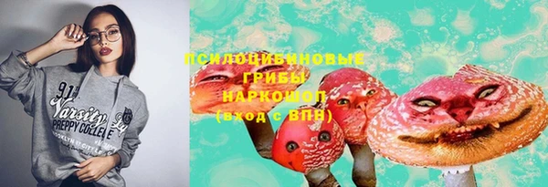 бошки Армянск